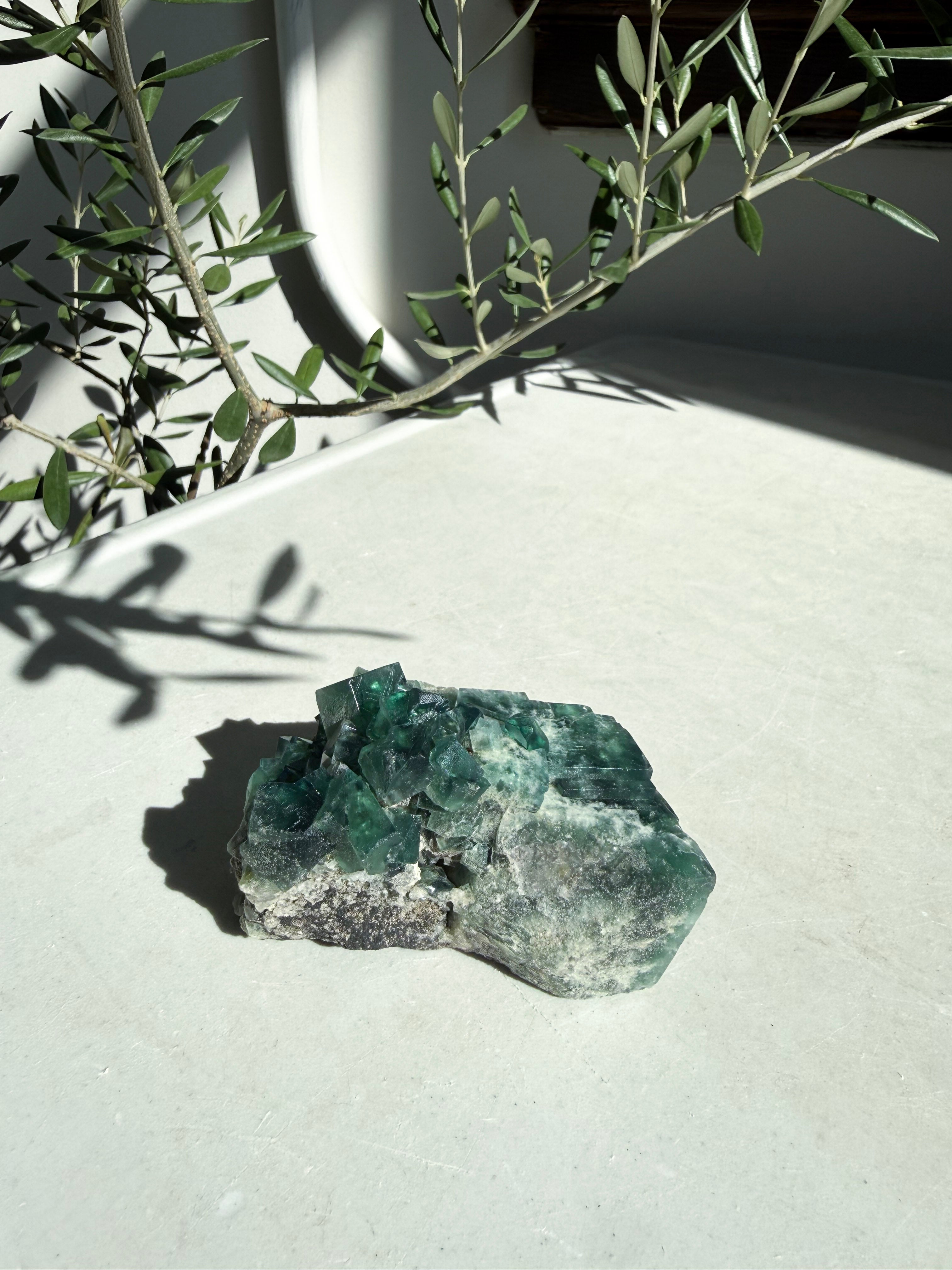 bright green and tourquoise fluorite on marble counter with olive branches in back