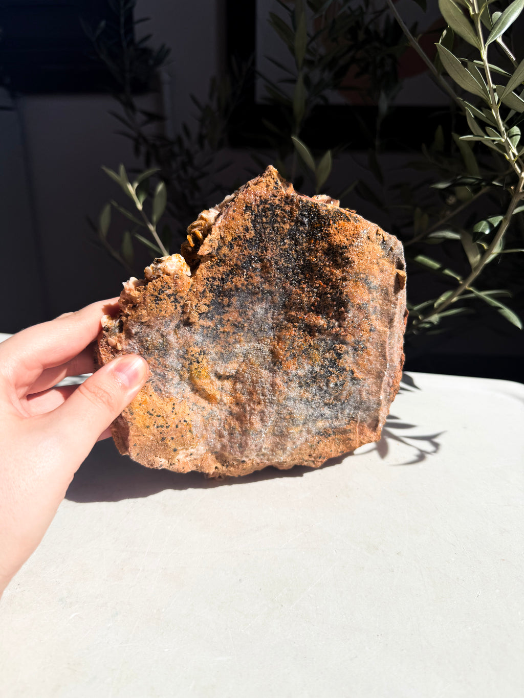 hand holding back side of orange barite sprinkled with vanadinite on qwhite counter