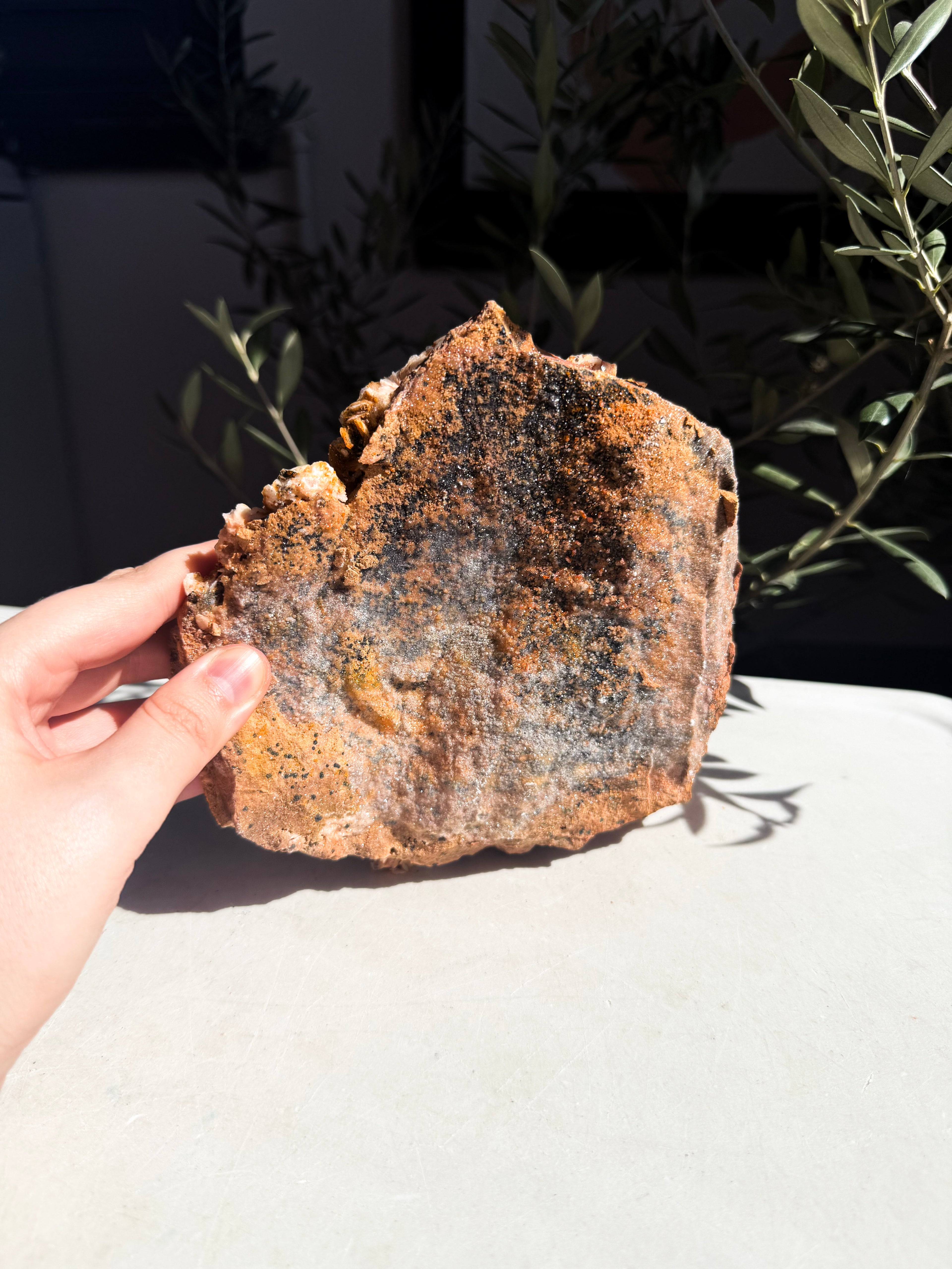 hand holding back side of orange barite sprinkled with vanadinite on qwhite counter