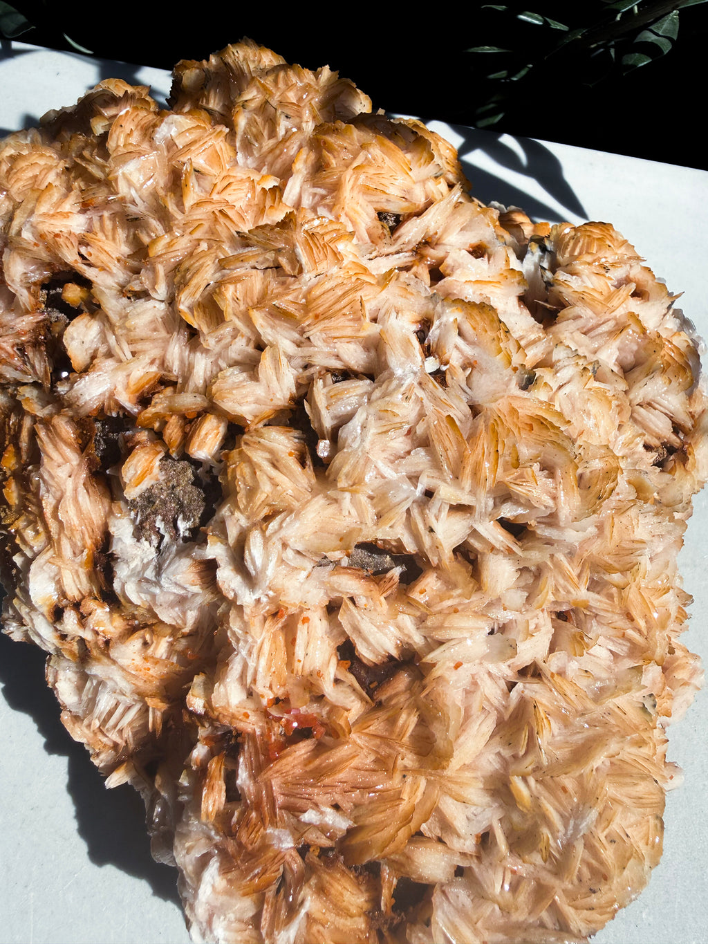 close up of orange barite sprinkled with vanadinite on white counter