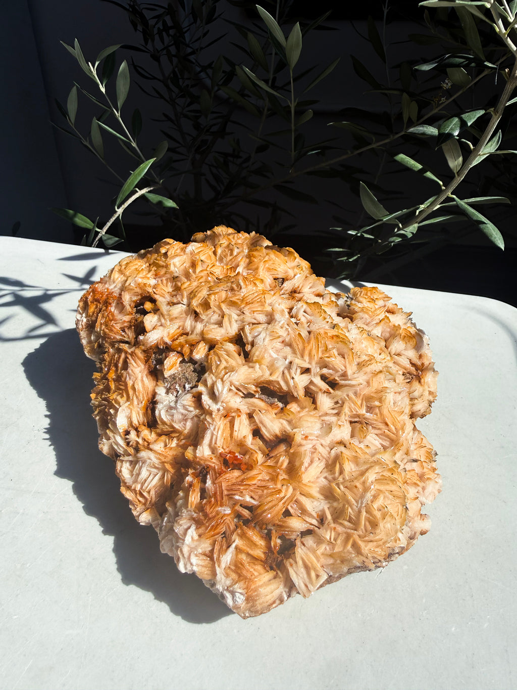 orange barite sprinkled with vanadinite on white countertop surrounded by foliage