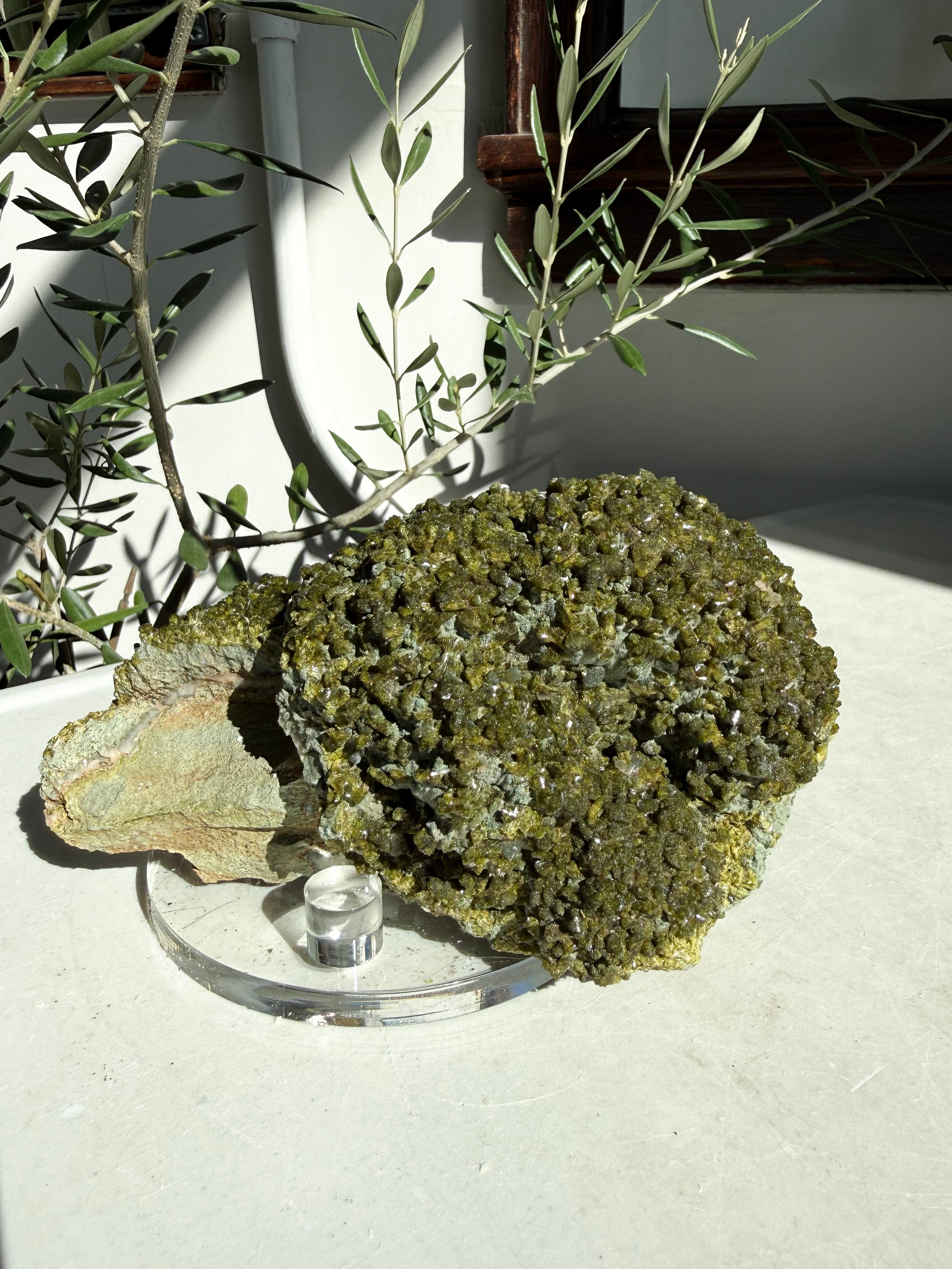 Epidote and Quartz