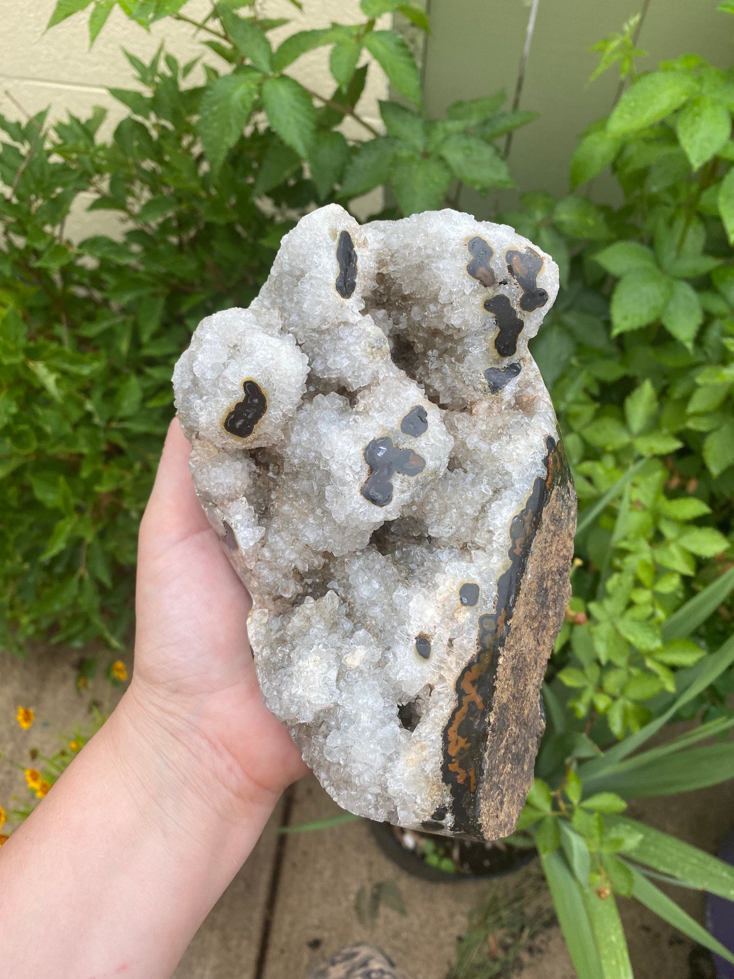 Semi Polished Druzy Agate Stalactite