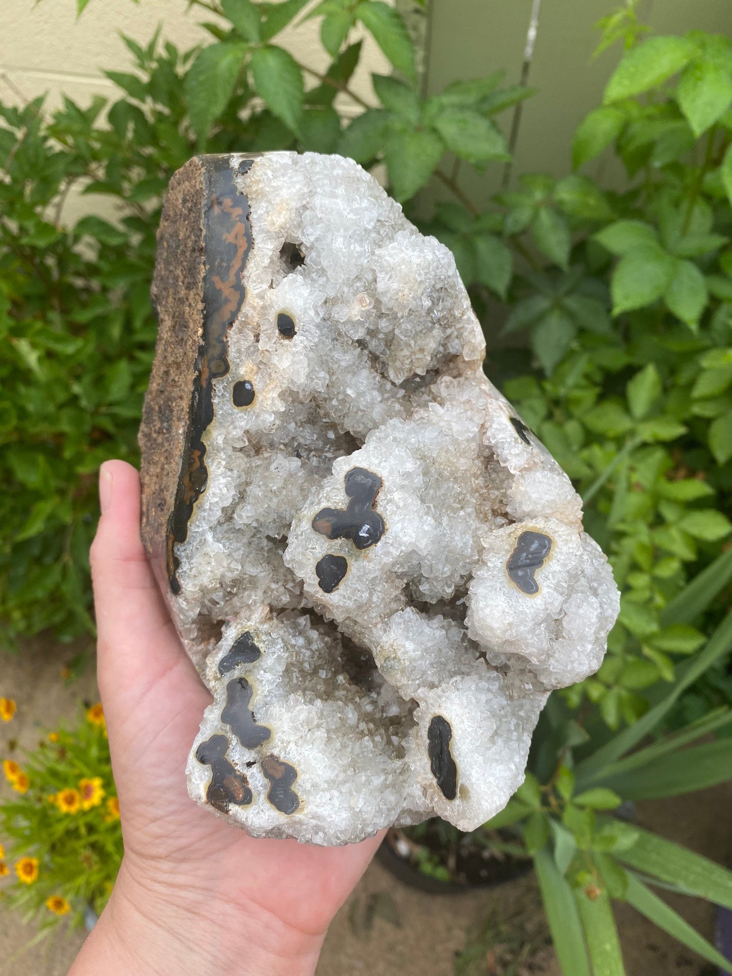 Semi Polished Druzy Agate Stalactite