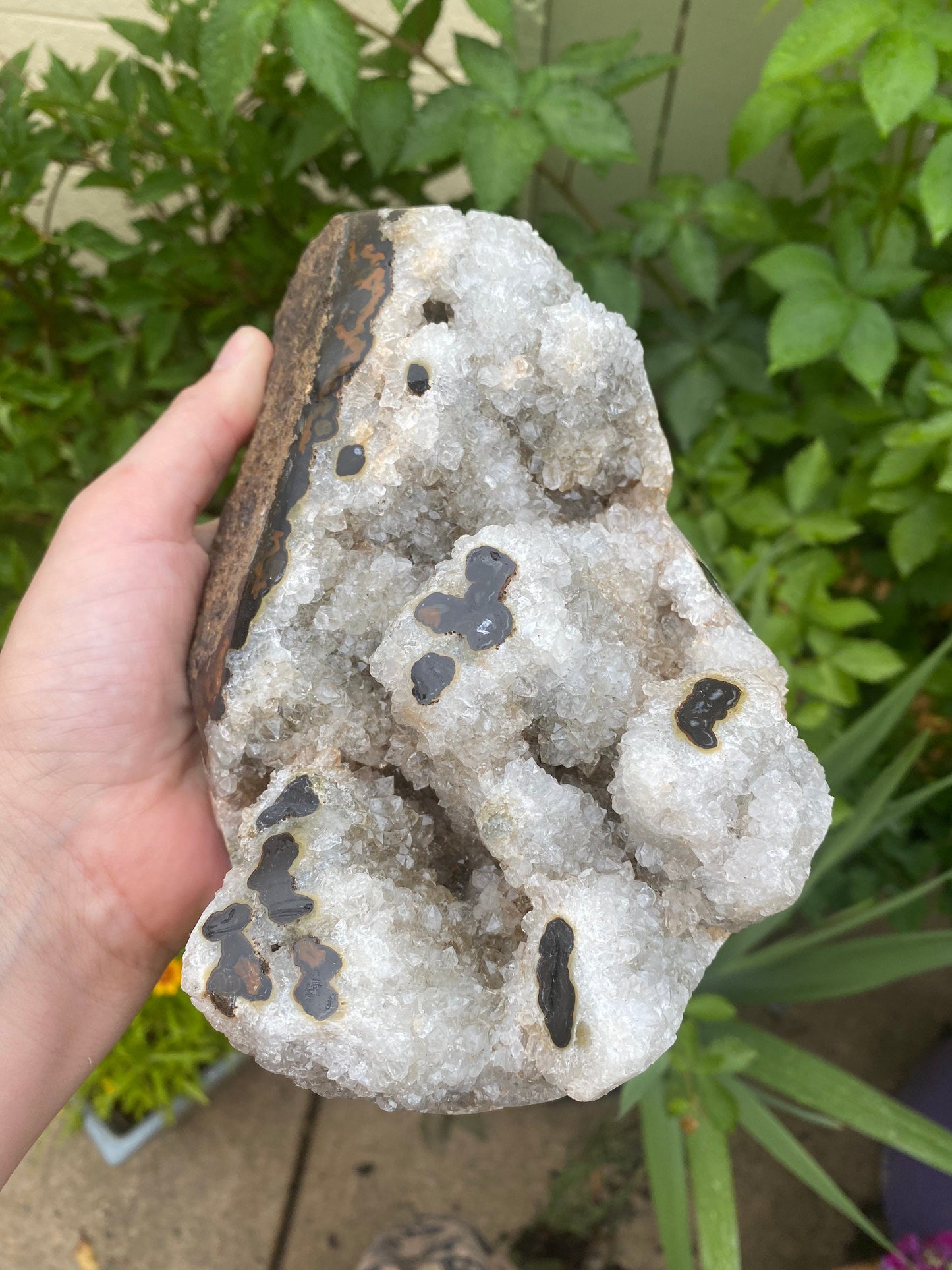 Semi Polished Druzy Agate Stalactite