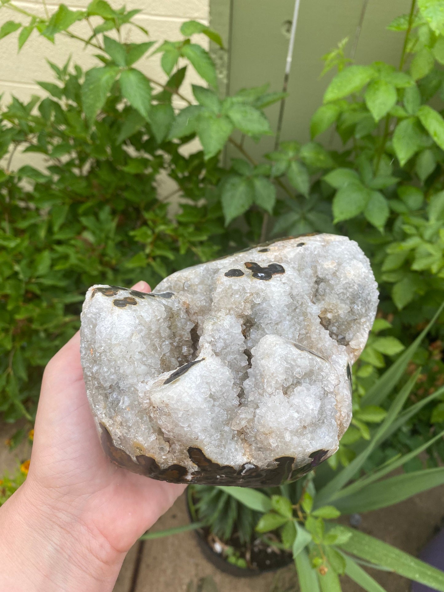 Semi Polished Druzy Agate Stalactite