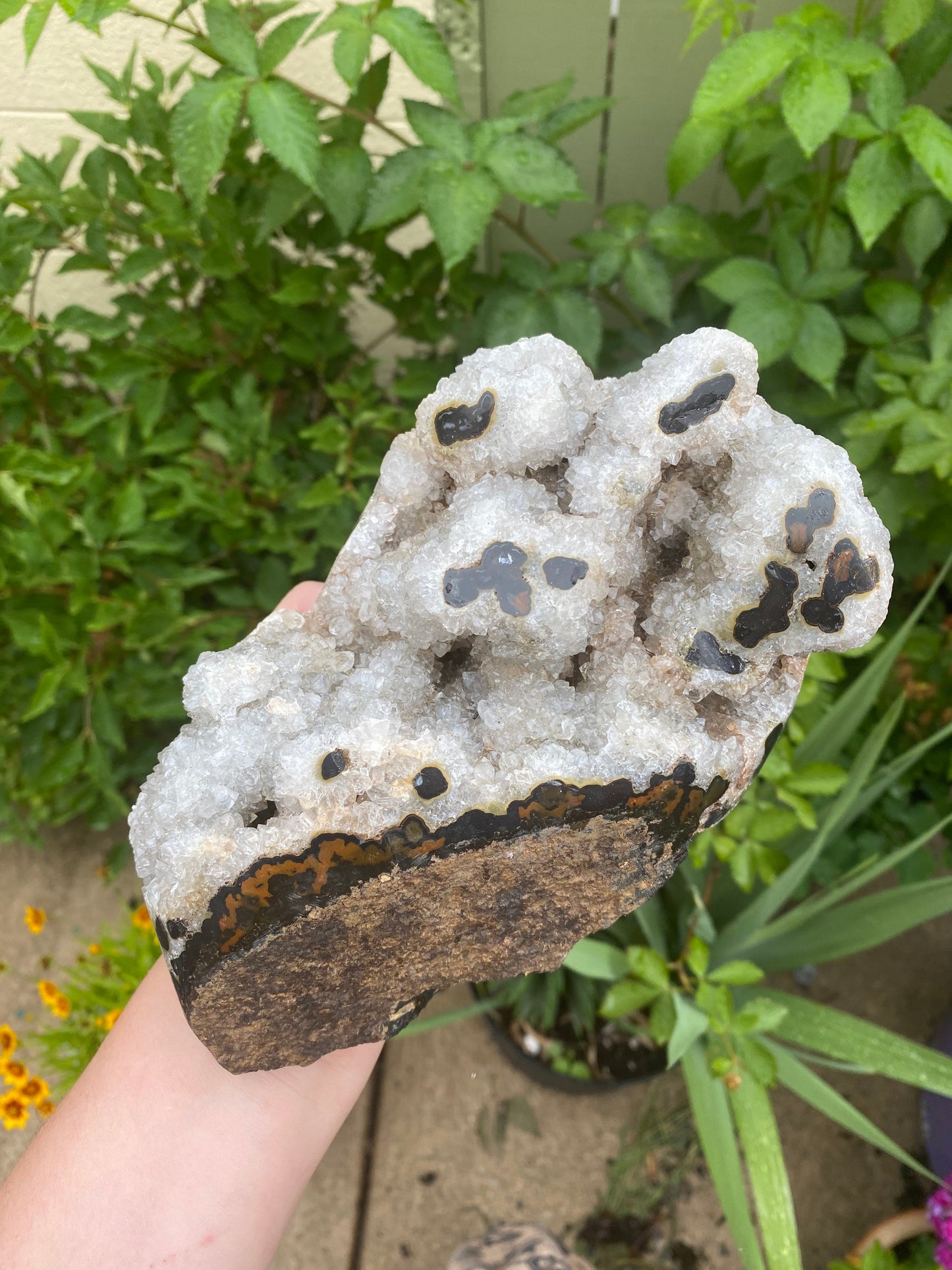 Semi Polished Druzy Agate Stalactite