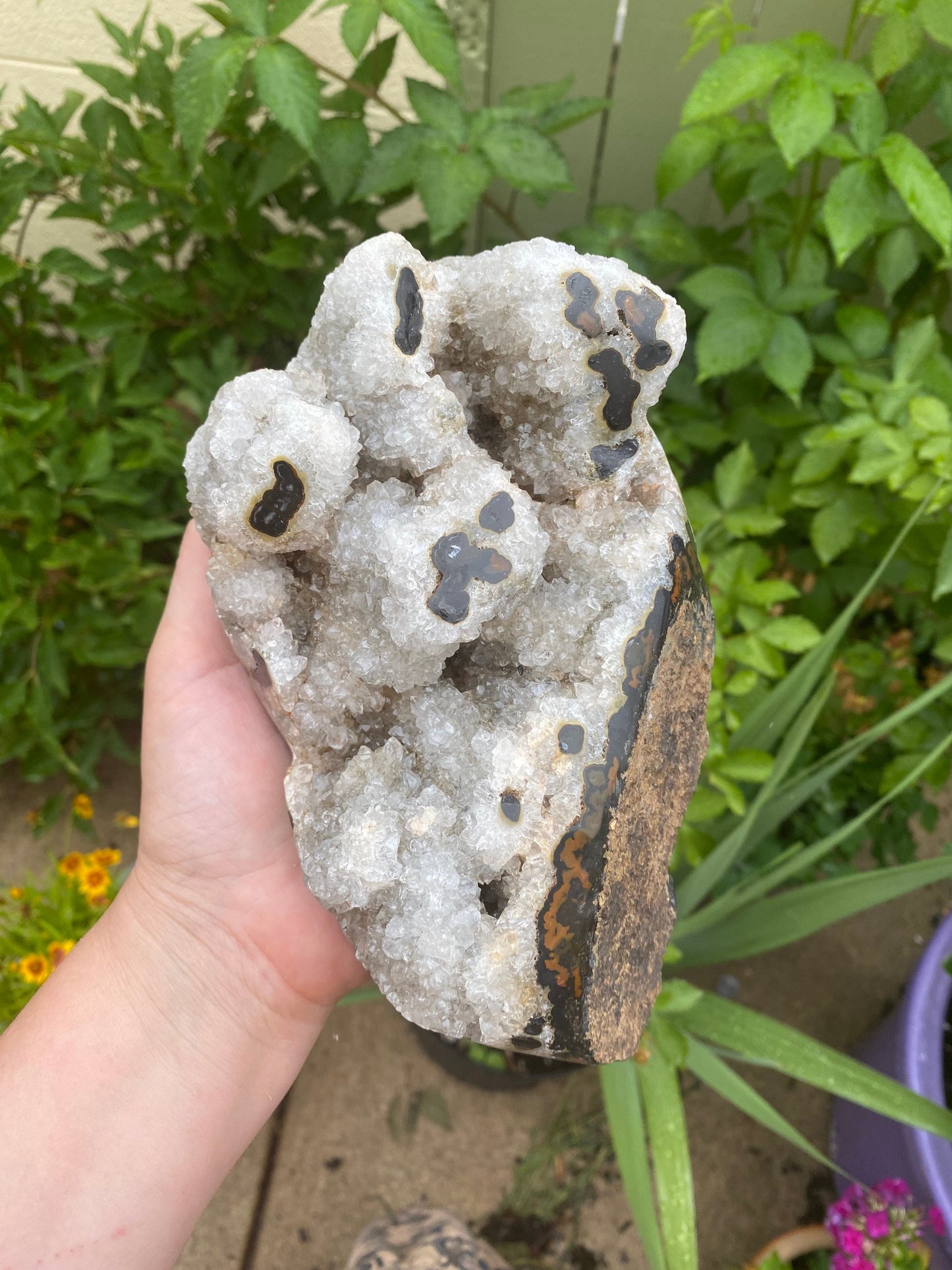 Semi Polished Druzy Agate Stalactite