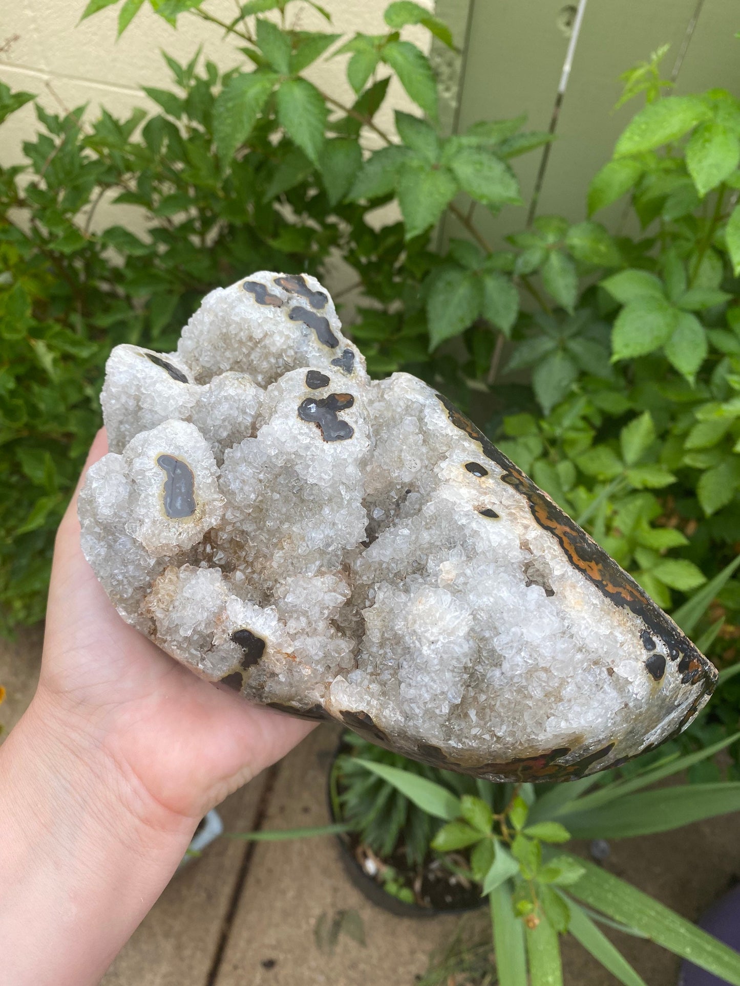 Semi Polished Druzy Agate Stalactite